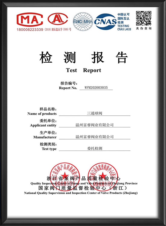檢測報告